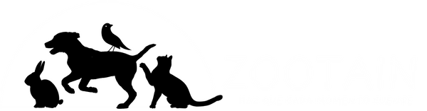 ZooTain